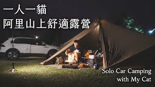 SOLO Car Camping with My Cat in Ali Mountain｜Zane Arts Gigi-1｜Cozy, Campfire, Relax｜ASMR｜Taiwan EP10