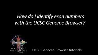How do I identify exon numbers with the UCSC Genome Browser?