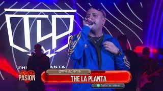 The La Planta en vivo en Pasión de Sábado 22 06 2024 Parte 2