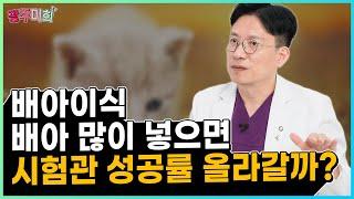 배아이식, 배아 많이 넣으면 시험관 성공률 올라갈까?