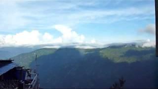 darjeeling sky trees