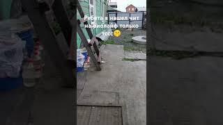 Дану нафиг