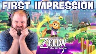 Legend of Zelda Echoes of Wisdom First Impressions DAY 2 - Landscape