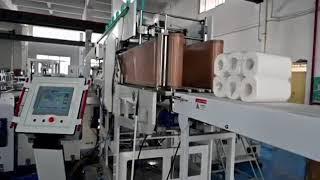 Toilet Roll/Kitchen Towel Packing Machine plastic film roll type