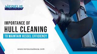 Ship Hull Repair and Maintenance UAE #hullcleaning #maritime #marine #nereussubsea #subscribe