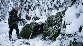 Building a Shelter to Survive HEAVY SNOW:  3 Days Bushcraft Adventure in a Frozen Forest