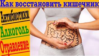 Как восстановить микрофлору кишечника после антибиотиков, алкоголя или отравления?!