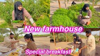 New farmhouse || Special breakfast || Salma Yaseen vlogs