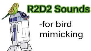 R2D2 Sounds for bird mimicking