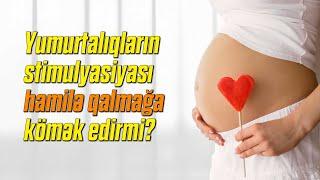 Yumurtalıqların stimulyasiyası hamilə qalmağa kömək edirmi? ( Ginekoloq Aytən Nəcəfəliyeva )