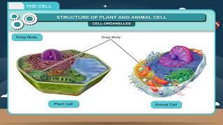 The Cell class-6