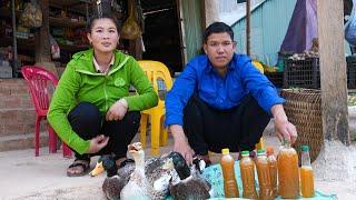 Harvest Wild Honey and Ducks to Bring to Market to Sell, Buy More Swans to Raise | Family farm