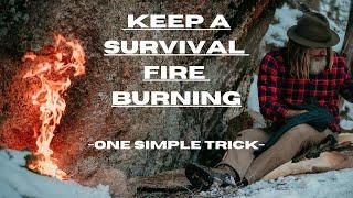 BEST SURVIVAL Hack To Keep A Fire Alive #firemaking #bushcraft #survival #donnydust #primitiveskills