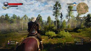 The Witcher 3: Wild Hunt Freeroam Gameplay PS5 4K HDR