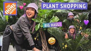 I NEED MORE PLANTS!!  Let's go house plant shopping at Home Depot