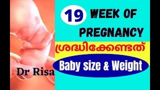 Pregnancy Week by Week Malayalam | 19 Weeks Pregnancy