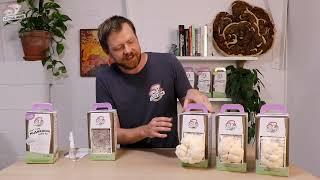 Lion's Mane Grow Kit - Set up instructions and growing tips