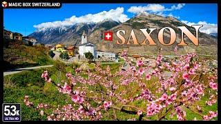 Saxon 5.3K  Ep#1 - Hiking the Apricot blossoms trail in Valais/Wallis, Switzerland