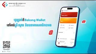 How to Transfer from Bakong Wallet to Bakong members