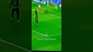 the best goal RBL