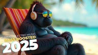 BASS BOOSTED SUMMER VIBES  | Electro Music Anthems