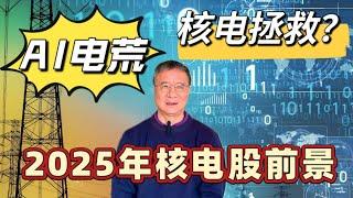 2025年核电股投资前景如何？何博士科普核电知识，核电是否可以拯救AI￼用电荒？