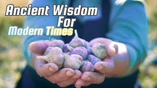 Biblical Herbs and Remedies: Ancient Wisdom for Modern Times