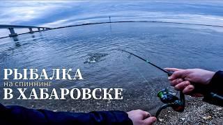 РЫБАЛКА НА СПИННИНГ В ХАБАРОВСКЕ. РЫБА ЕСТЬ!