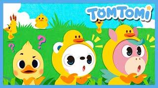Baby Duckling | Quack quack quack | Let's find our mommy and daddy! | Animal Song | TOMTOMI