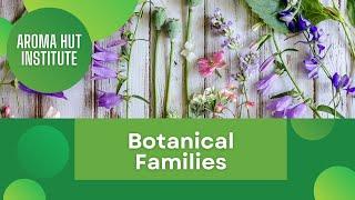 Unveiling Botanical Families: Discover the Secrets Behind Nature's Classification