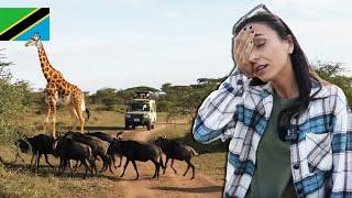 Safari extrem în Africa! Am dormit în cort printre animalele sălbatice din Serengeti, Tanzania