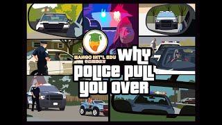 (1)Why police pull you over? 美国弗吉尼亚州交通知识法规普及讲座，考取美国驾照，十大警察截停的原因，美国留学必备-芒果国际教育Mango International Edu