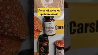 Лучший ежовик гребенчатый? #ежовик #ноотропы #биохак #пп #рецепт #биохакинг #нутрициолог