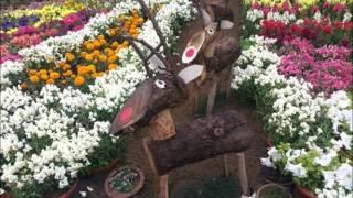 Spring festival 2017 ideas, Flower show, Flower display, floral decoration, Flower arrangement