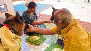 വിശന്നിട്ടു കണ്ണ് കാണാൻ വയ്യ...അമ്മേ സദ്യ വിളമ്പ്..|Leolaika|Chottuz