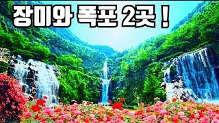 화려한 장미와 웅장한 폭포  지하철 접근성 최고!     Roses by the Waterfall