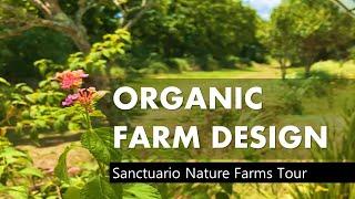 Organic Farm Design - Sanctuario Nature Farms Cavite