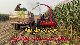 Corn Silage Harvesting with Celmak Stationary Silage Machine in Punjab Pakistan - Silage Making