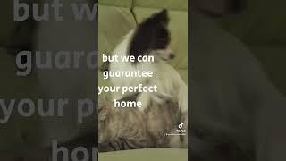 Realtor in Olathe KS - Kansas City Metro