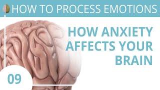 How Anxiety Affects the Brain 9/30 How to Recognize and Turn off the Fight/Flight/Freeze Response