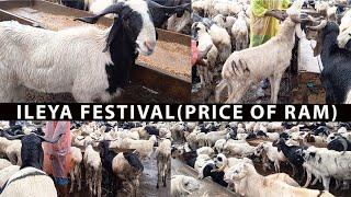 ILEYA FESTIVAL 2024 (PRICE OF RAM)  | LAGOS NIGERIA | ABRAHAM ADESANYA RAM MARKET