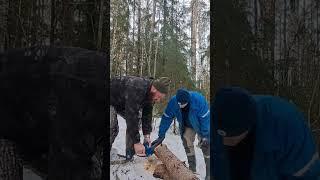 Перебрались через реку. Обустраиваем новый лагерь в тайге. #походвлес #тайга #бушкрафт #survival