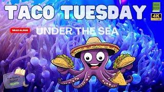 Taco Tuesday Under the Sea- Kids Book Read Aloud Story with Animation - Bedtime Stories for Kdis