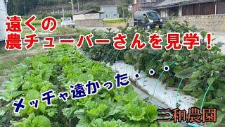 農業物語の新居田さんの畑を見学してきました！NO361