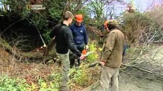 National Geographic Planet Mechanics - Tree Powered Car