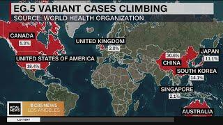 A new COVID-19 variant pushes up cases in the US