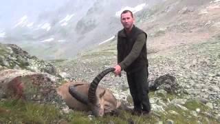 Kuban Tur hunting in Russia with ProfiHunt