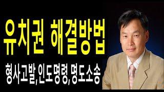 부동산경매투자, 유치권해결(처리)방법 및 절차, 형사고발조치, 인도명령, 명도소송, 김동수박사