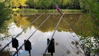 Fishing UK for 21 Days (PART 1) Carp, Shark, Conger Eel, Coarse & Sea Angling.