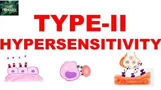 Type II Hypersensitivity | Antibody mediated Hypersensitivity | Mechanism | Examples